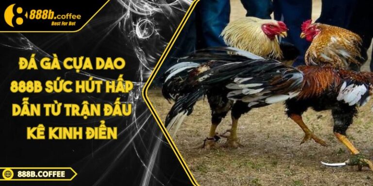Đá Gà Cựa Dao 888B Sức Hút Hấp Dẫn Từ Trận Đấu Kê Kinh Điển