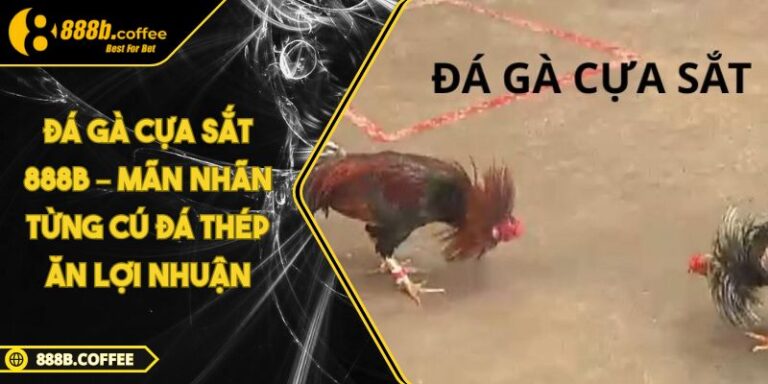 Đá Gà Cựa Sắt 888B – Mãn Nhãn Từng Cú Đá Thép Ăn Lợi Nhuận