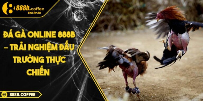 Đá Gà Online 888B – Trải Nghiệm Đấu Trường Thực Chiến