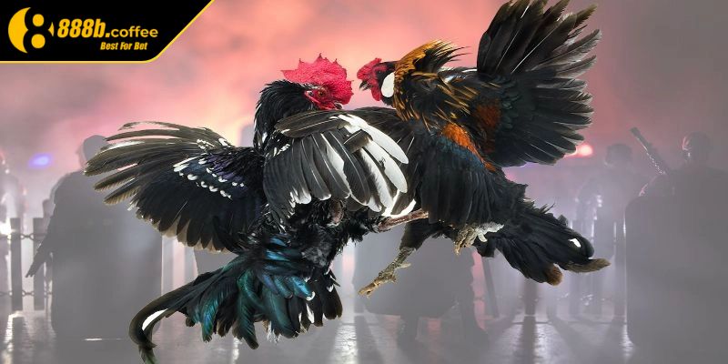 Nắm bắt những chiến thuật tham gia mang về chiến thắng 