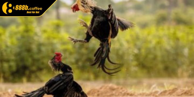 Những hình thức cược tiền được nhiều người yêu thích 