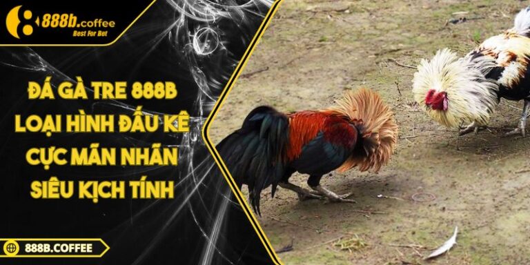 Đá Gà Tre 888B Loại Hình Đấu Kê Cực Mãn Nhãn Siêu Kịch Tính