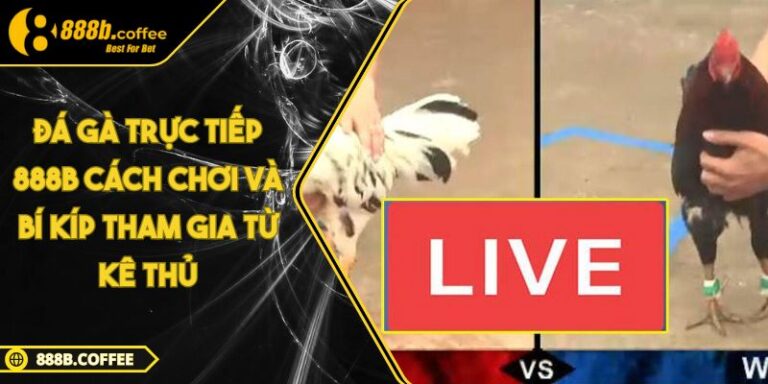 Đá Gà Trực Tiếp 888B Cách Chơi Và Bí Kíp Tham Gia Từ Kê Thủ