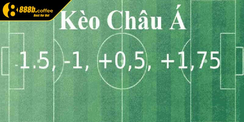 Cách phân tích kèo châu Á dành cho người mới
