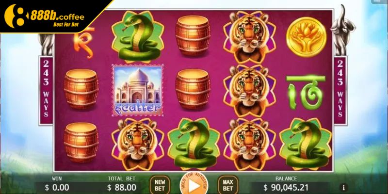 Quản lý tiền cược thật hợp lý 