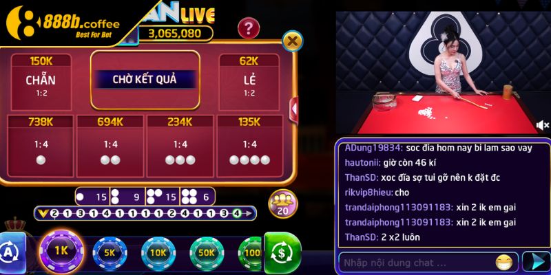 Quan sát nhịp độ chia hạt