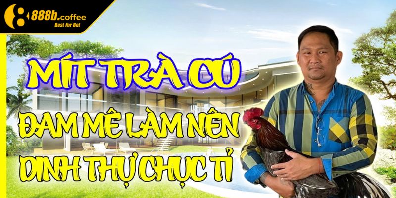 Tầm ảnh hưởng của Mít Trà Cú 888B với người chơi gà