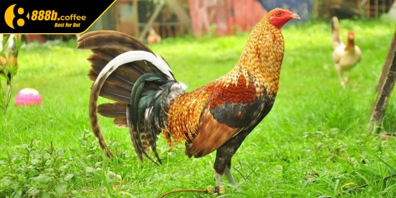 Tiết kiệm thời gian, công sức