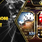 Hướng Dẫn Tìm Đúng Cổng Go88 Thật Nhanh Tránh Nhầm Lẫn